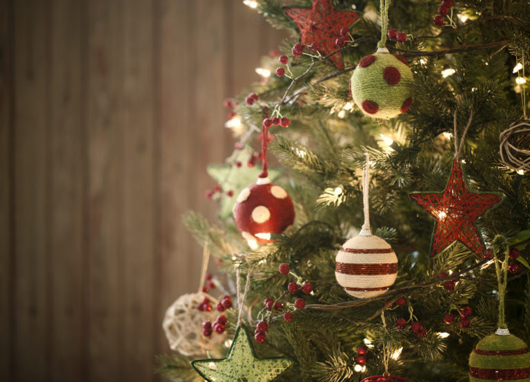 20th Annual Hendersonville Christmas Tree Recycling Project ECO WNC