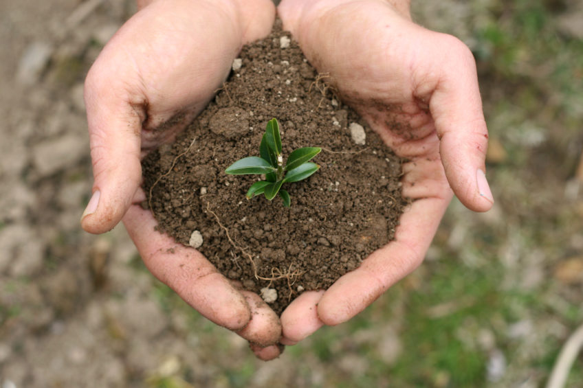 Green Infrastructure Committee